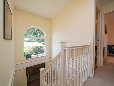 Picture 13